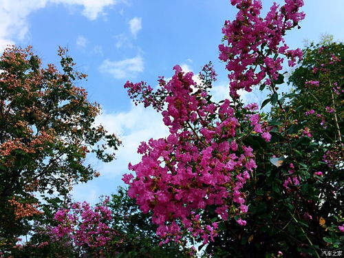 南京鼓勵建設(shè)單位推進(jìn)全過程咨詢發(fā)包，專業(yè)服務(wù)引領(lǐng)建筑行業(yè)升級